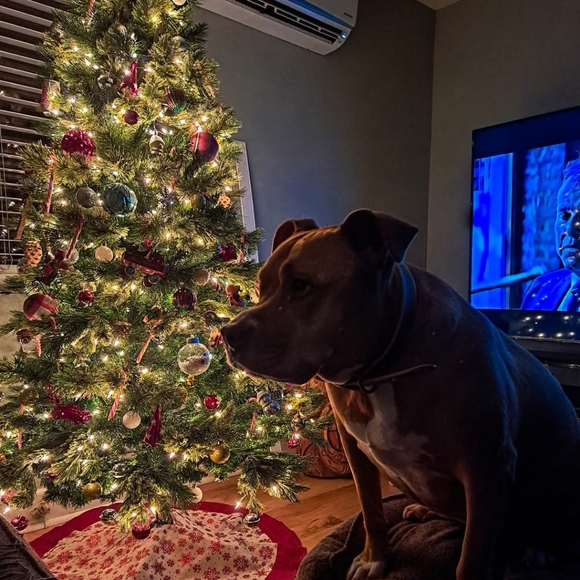 Obsessed Dog Mama 🩷 - Picture 3 of 7